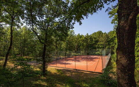 Villa Sant' Angelo: Árbol, Rama, El Maletero, Sombra, Luz De Sol, Primavera, Bosque, Ramita, Arboleda