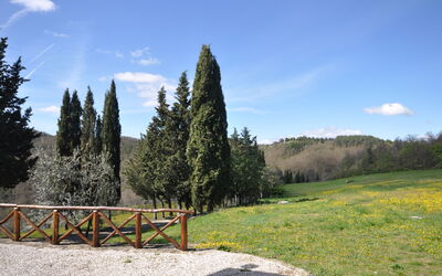 Tabaccaia