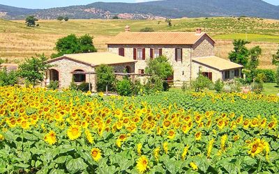 Casale Sugherino - Scansano, Toscana, Italia