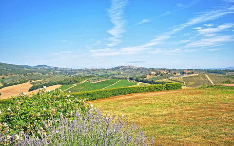Vittoriana: Cielo, Paisaje Natural, Naturaleza, Azul, Verde, Pradera, Colina, Hierba, Entorno Natural, Nube