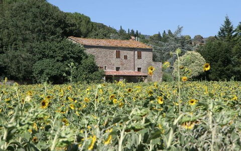 San Silvestro