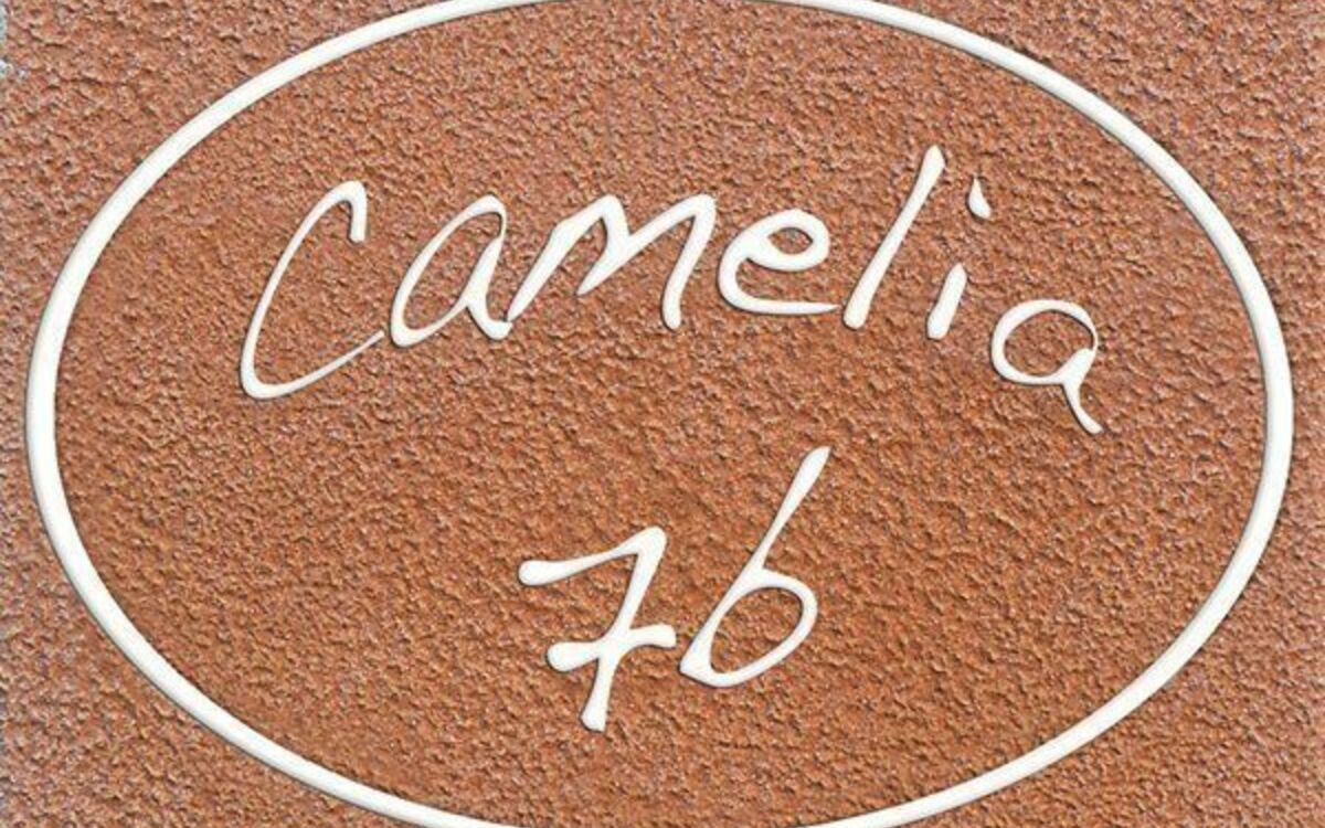 Alojamiento:&nbsp;Camelia