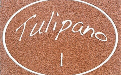 Alojamiento:&nbsp;Tulipano