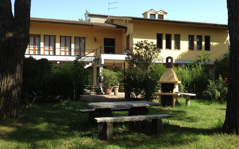 Villa Quattro Mori: Planta, Edificio, Cielo, Propiedad, Ventana, Árbol, Sombra, El Terreno Del Lote, Barrio Residencial, Hierba