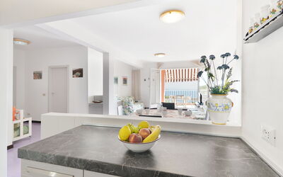 Alojamiento:&nbsp;Mimose 2 400.9