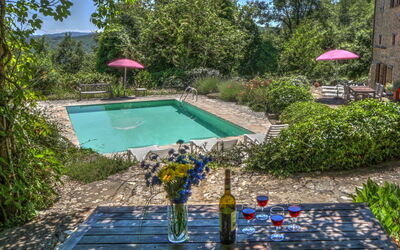 At lunch or dinner , under the shadow you can see garden and pool.