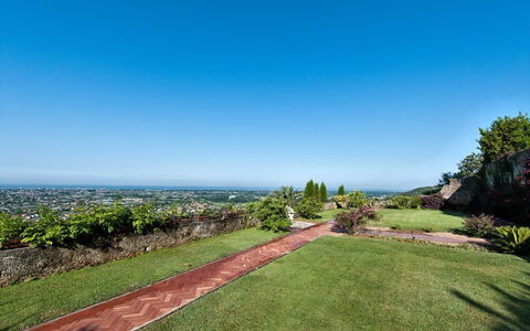 Villa Camaiore: Cielo, Propiedad, Hierba, Bienes Raíces, Tiempo De Día, El Terreno Del Lote, Árbol, Jardín, Botánica, Césped