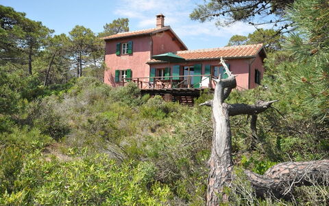 Casamare: Propiedad, Casa, Árbol, Edificio, Cabaña, Bienes Raíces, Área Rural, Casa, Arquitectura, Paisaje