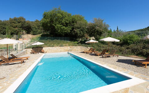 Villa Nova: Piscina, Propiedad, Bienes Raíces, Ocio, Casa, Agua, Vacaciones, Inmuebles, Villa, Árbol