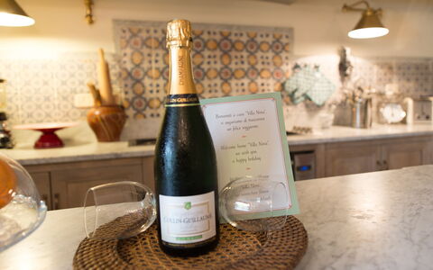 Villa Nova: Bebida, Champán, Vino, Bebida Alcohólica, Botella De Vidrio, Botella, Botella De Vino, Licor