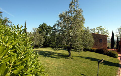 La Valle: Árbol, Propiedad, Hierba, Casa, Planta, Jardín, Plantas Leñosas, Botánica, Bienes Raíces, Familia De Las Gramíneas