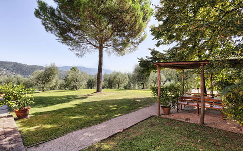 Le Pergole: Propiedad, Bienes Raíces, Paisaje Natural, Árbol, Casa, Hierba, Jardín, Casa, Botánica, Yarda