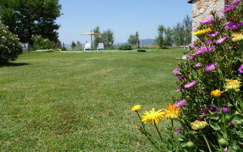 Funghi 1: Césped, Prado, Hierba, Jardín, Flor, Entorno Natural, Yarda, Pradera, Planta, Flor Silvestre