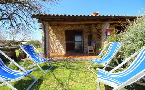 Funghi 1: Propiedad, Casa, Edificio, Cabaña, Árbol, Villa, Patio Interior, Bienes Raíces, Ocio, Casa