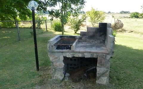 Funghi 1: Hierba, Árbol, Paisaje, Planta, Ladrillo