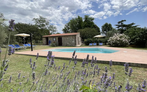 Funghi 1: Nube, Planta, Cielo, Agua, Flor, Piscina, Árbol, Hierba, Paisaje Natural, Ocio