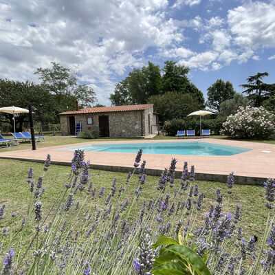 Funghi 1: Nube, Planta, Cielo, Agua, Flor, Piscina, Árbol, Hierba, Paisaje Natural, Ocio