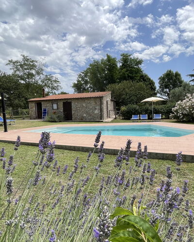 Funghi 1: Nube, Planta, Cielo, Agua, Flor, Piscina, Árbol, Hierba, Paisaje Natural, Ocio