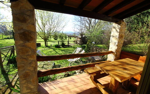 Funghi 2: Propiedad, Paisaje Natural, Habitación, Edificio, Casa, Árbol, Porche, Bienes Raíces, Cabaña, Paisajismo