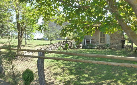 Funghi 2: Propiedad, Árbol, Yarda, Casa, El Terreno Del Lote, Patio Interior, Hierba, Casa, Bienes Raíces, Césped