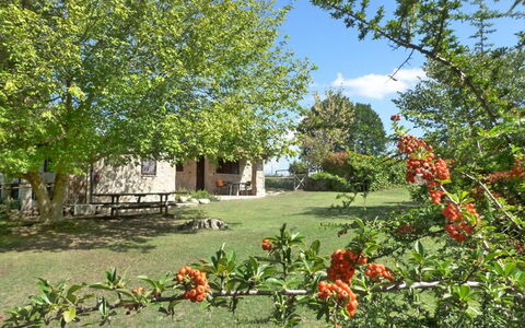 Funghi 2: Vegetación, Propiedad, Paisaje Natural, Casa, Jardín, Árbol, Flor, Planta, Bienes Raíces, Cabaña