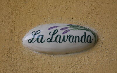 Alojamiento:&nbsp;Lavanda