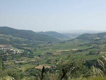 Alojamiento:&nbsp;Salvia