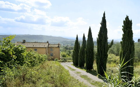Teto: Vegetación, Árbol, Familia De Las Gramíneas, Cielo, Hierba, Área Rural, El Terreno Del Lote, Planta, Colina, Campo