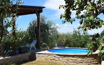 Selva degli Ulivi - Sinalunga, Toscana, Italia