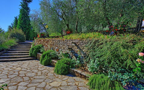 Villa Montalcino: Jardín, Vegetación, Pared, Árbol, Planta, Pasarela, Jardín Botánico, Botánica, Paisaje, Familia De Las Gramíneas