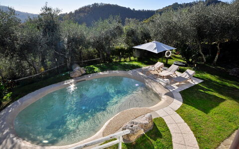 Casa Roberto: Piscina, Fuente De Agua, Jardín, Recurso, Paisajismo, Ciudad De Vacaciones, Hacienda, Villa, Patio Interior, Eco Hotel