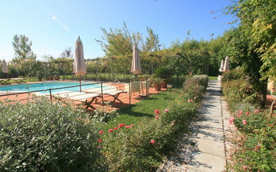 Casale Antonella