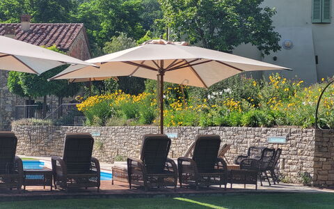 Angeloni: Planta, Mueble, Paraguas, Silla, Mesa, Sombra, Árbol, Mueble Para Exteriores, Botánica, Edificio