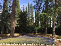 Villa Di Montegemoli