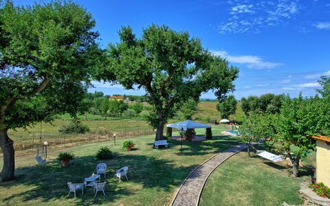 Casa Catia: Propiedad, Árbol, Bienes Raíces, Yarda, Transporte, Jardín, Casa, El Terreno Del Lote, Área Rural, Casa