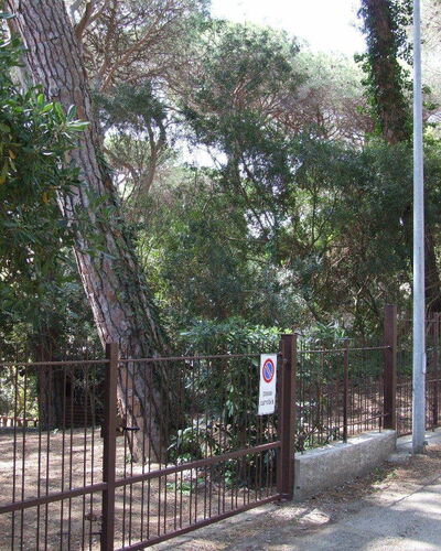 Appartamento - Le Finestre: Árbol, Propiedad, Cerca, Plantas Leñosas, Bienes Raíces, Planta, El Terreno Del Lote, Casa, Bosque, Paisaje