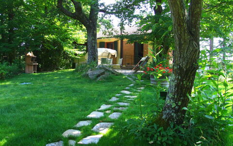 Villa La Quercia: Paisaje Natural, Naturaleza, Verde, Yarda, Vegetación, Hierba, Propiedad, Árbol, Jardín, Patio Interior