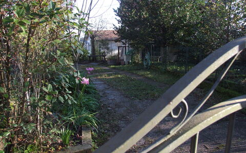 Villa Agrifogli: Transporte, Árbol, Rueda, Hierba, Hierro, Planta, Casa, La Carretera, Vehículo