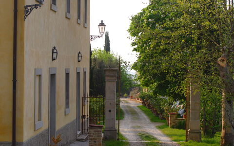 Tenuta Il Tresto: Árbol, By, Calle, Callejón, Pared, La Carretera, Arquitectura, Barrio, Casa, Edificio