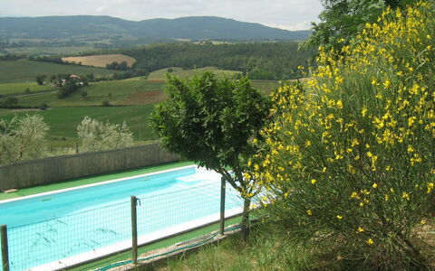 Casale Biancospino: Paisaje Natural, Amarillo, Árbol, Área Rural, Hierba, Primavera, Prado, Planta, Paisaje, Casa