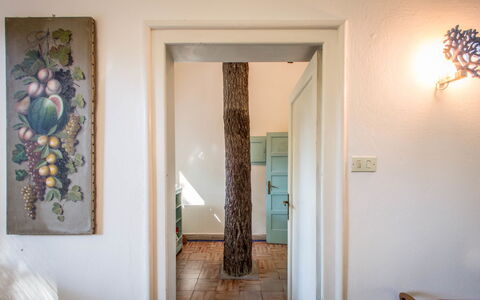 Marina Dei Ronchi Prestige: Propiedad, Habitación, Pared, Puerta, Casa, Diseño De Interiores, Casa, Suelo, Edificio, Árbol