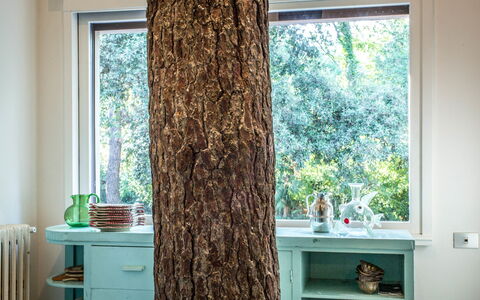 Marina Dei Ronchi Prestige: Cortina, Tratamiento De La Ventana, Árbol, Verde, Diseño De Interiores, Ventana, Habitación, Turquesa, Marrón, Textil