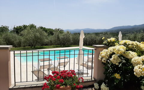 Villa Gaville: Flor, Planta, Cielo, Agua, Maceta, Planta De Casa, Árbol, Paisaje, Bienes Raíces, Rectángulo