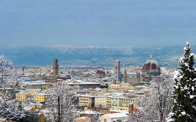 Alquileres De Casas Navideñas